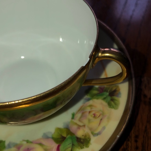 Royal Rudolstadt Prussian rose pattern gold trim tea cup and saucer Victorian - Picture 4 of 15